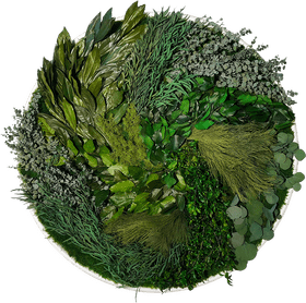 Circle of Lush Greenery A Grass Mosaic PNG
