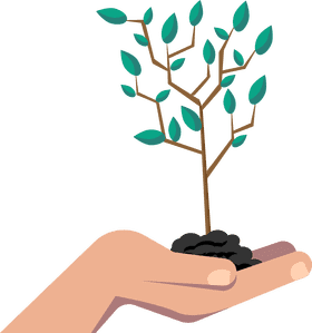 Indoor Plant Growth in a Nurturing Hand PNG