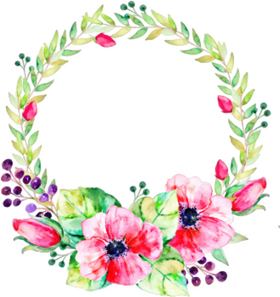 Elegant Iris Flower Bouquet with Vibrant Accents PNG