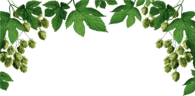 Nature's Recycling Bin Embrace Green Living PNG