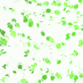 Green Card Pathway to New Beginnings PNG