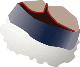 Sushi Delight A Fusion of Flavors PNG