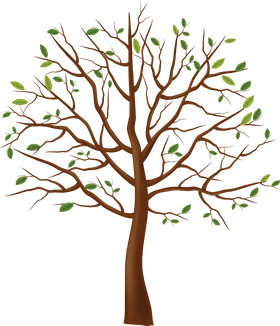 Emerging Life A Tree of Resilience PNG