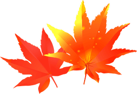 Vibrant Autumn Leaf Duo PNG