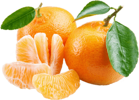 Juicy Lip Citrus Delight PNG