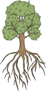 Vibrant Ginger Root Tree of Health PNG