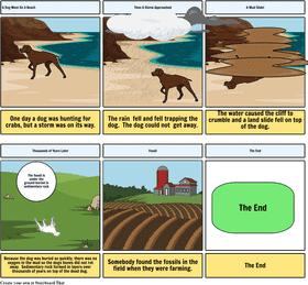 Dog's Journey Through Time From Beach to Fossil PNG