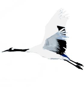 Elegant Flight of the Building Crane PNG