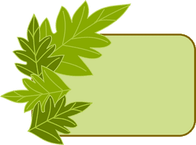 Green Card Pathway to New Beginnings PNG