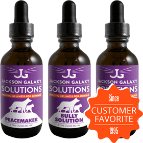 Galaxy Solutions for Holistic Animal Wellness PNG