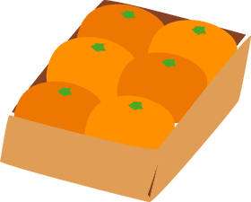 Box of Fresh Orange Fruit Delights PNG