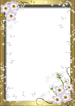 Elegant Floral Photo Frame Design PNG