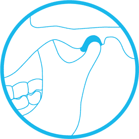 Understanding Dental Anatomy and Its Importance PNG