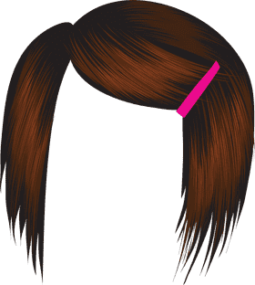 Stylish Hair Dryer for Perfectly Sleek Hair PNG