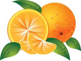 Vibrant Citrus Fruit Delight PNG