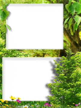 Whimsical Garden Ribbon Frame PNG