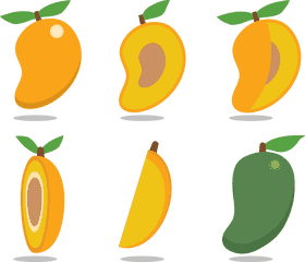 Mango Medley Varieties of Flavor and Color PNG