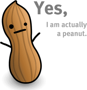 Nutty Peanut with Personality PNG
