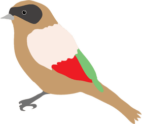 Colorful Songbird of the Garden PNG