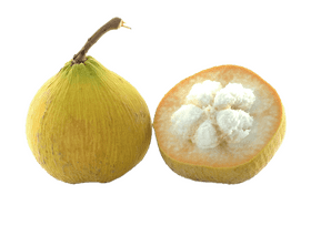 Tropical Fruit Delight The Sweet Burst of Nature PNG