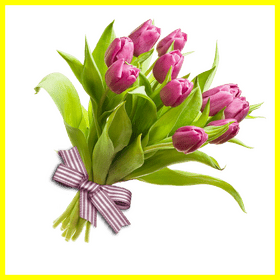 Elegant Pink Tulip Flower Bouquet PNG