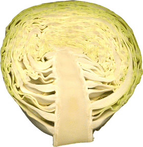 Fresh and Vibrant Vegetable Garden Delight PNG