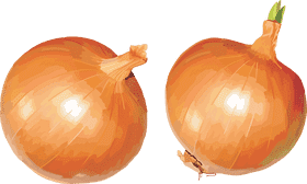 Deliciously Crunchy Onion Rings Delight PNG