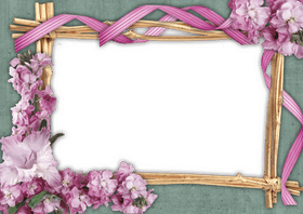 Charming Floral Photo Frame Design PNG