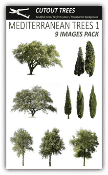 Mediterranean Tree Collection for Design Use PNG
