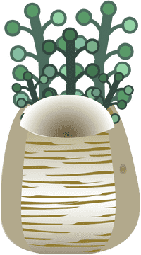 Charming Indoor Plant in Modern Pot PNG