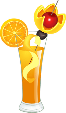 Tropical Citrus Delight Drink PNG