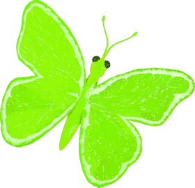 Lime Fruit Butterfly Delight PNG