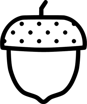 Acorn's Journey From Seed to Tree PNG