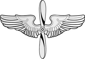 Air Force Wings of Excellence PNG