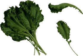 Crisp and Fresh Kale Salad Delight PNG