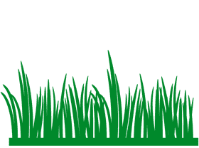 Lush Green Grass in Nature's Embrace PNG