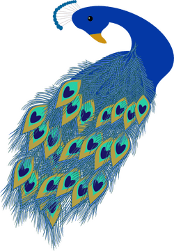 Elegant Peacock with Heart-Shaped Feathers PNG