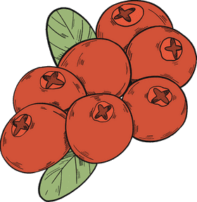 Cranberry Delight Nature's Juicy Red Gems PNG