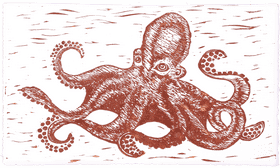 Artful Design of Octopus Tentacles PNG