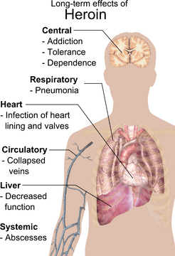 Artificial Intelligence in Understanding Human Anatomy PNG