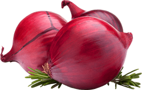 Fresh Red Onion Rings Delight PNG