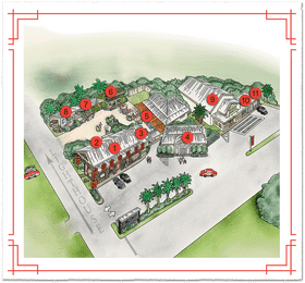 Vibrant University Campus Hub with Gatherings and Greenery PNG