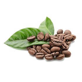 Freshly Harvested Coffee Beans with Green Leaves PNG