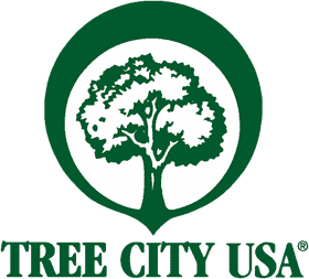 Tree City USA A Celebration of Urban Greenery PNG