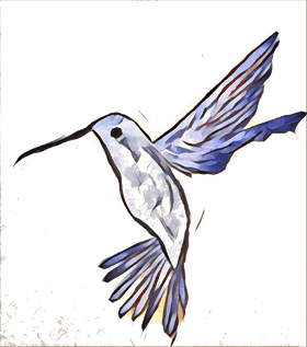 Medicine in Motion The Healing Hummingbird PNG