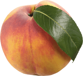 Peach Blossom A Symbol of Spring's Beauty PNG