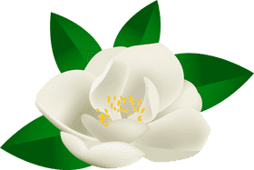 Whispers of Nature An Art Gallery Experience PNG