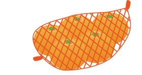 Fresh Citrus Delight The Orange Peel Collection PNG