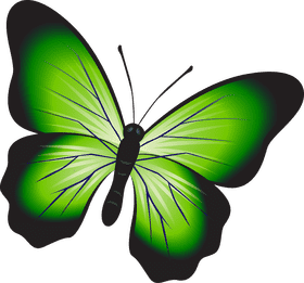 Vibrant Green Insect of the Garden PNG