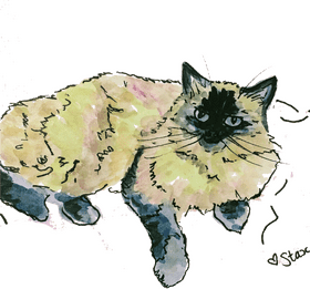 Charming Pet Collar for Stylish Feline Friends PNG